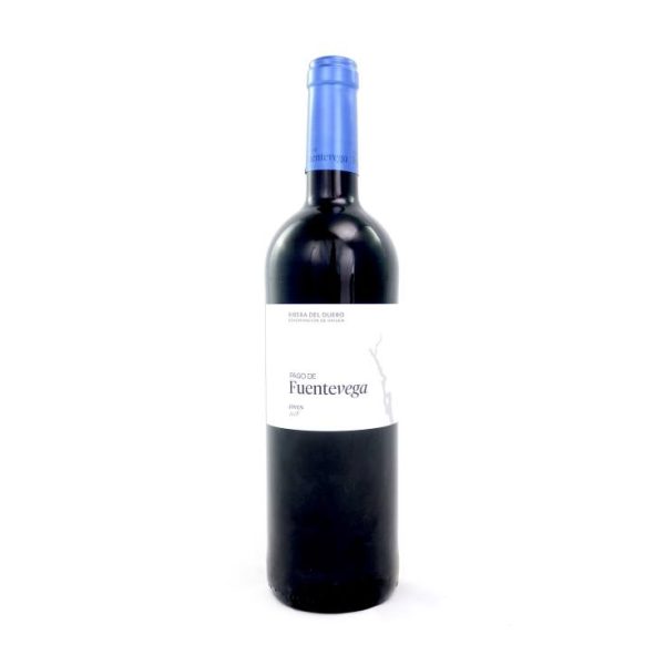 D.O. R.Duero young red wine