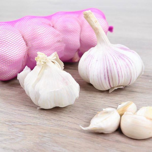Garlic netting