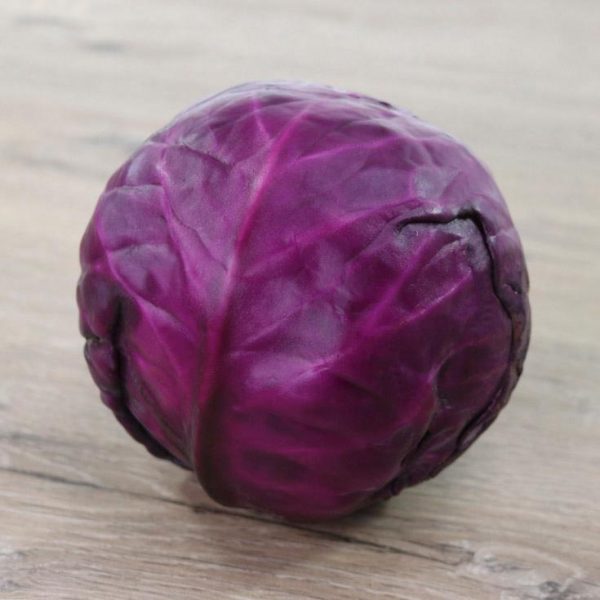 Red cabbage
