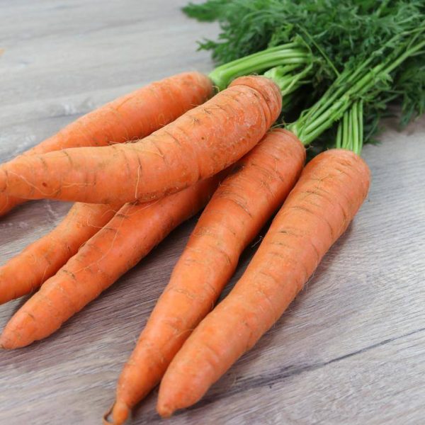 Carrots bunch