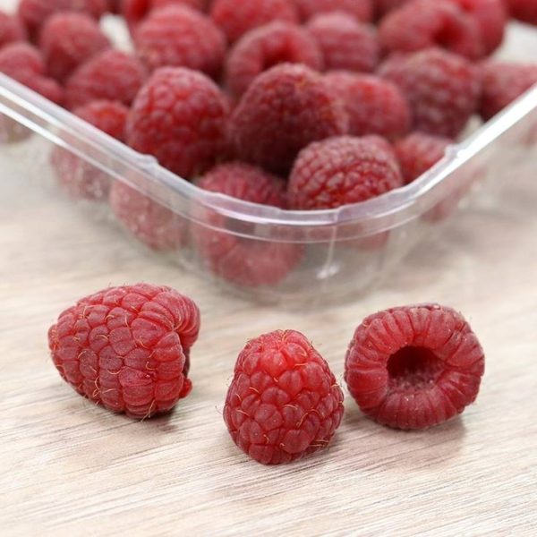 Raspberry terrine