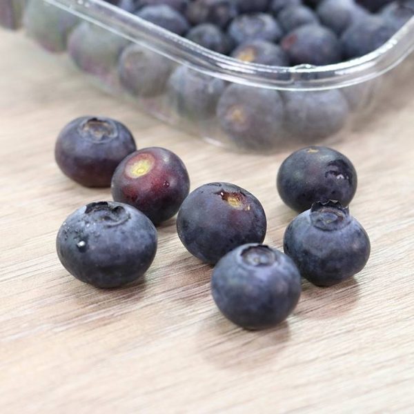 Blueberries terrine