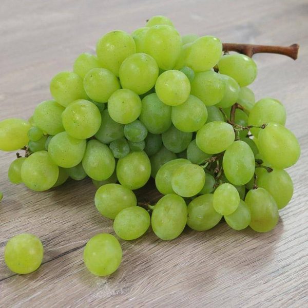 Seedless white grapes tray