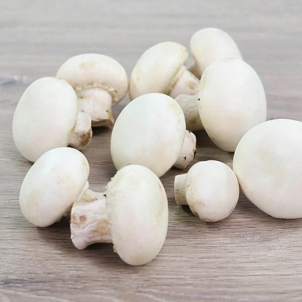 Whole mushrooms tray